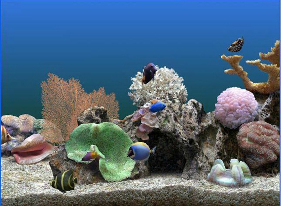 热带鱼水族箱屏幕保护程序 v3.3 免费版