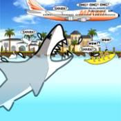 迈阿密鲨鱼