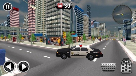 警察驾驶模拟器无限金币版